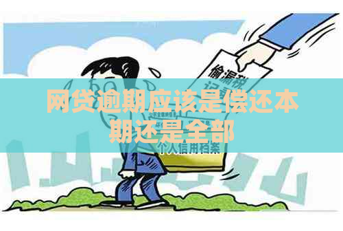 网贷逾期应该是偿还本期还是全部