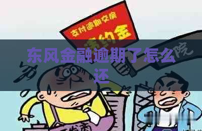东风金融逾期了怎么还