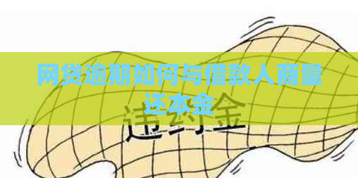 网贷逾期如何与借款人商量还本金