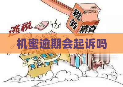 机蜜逾期会起诉吗