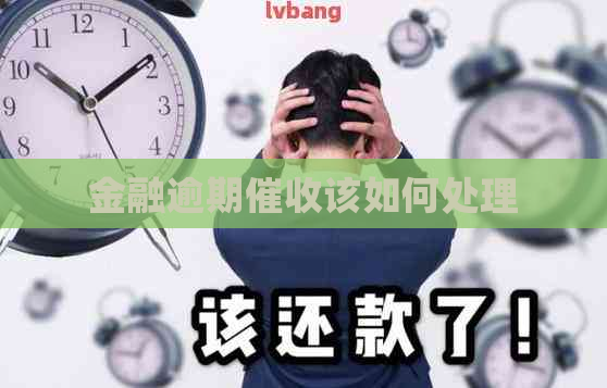 金融逾期该如何处理