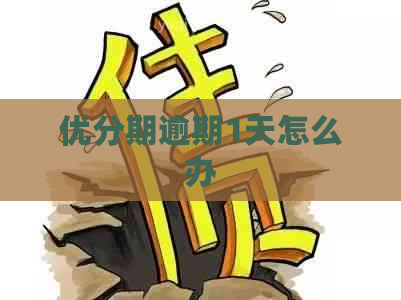 优分期逾期1天怎么办
