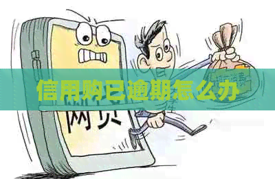 信用购已逾期怎么办