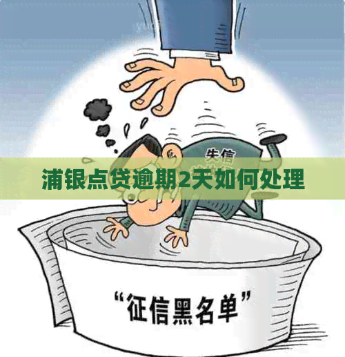 浦银点贷逾期2天如何处理