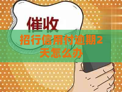 招行信用付逾期2天怎么办