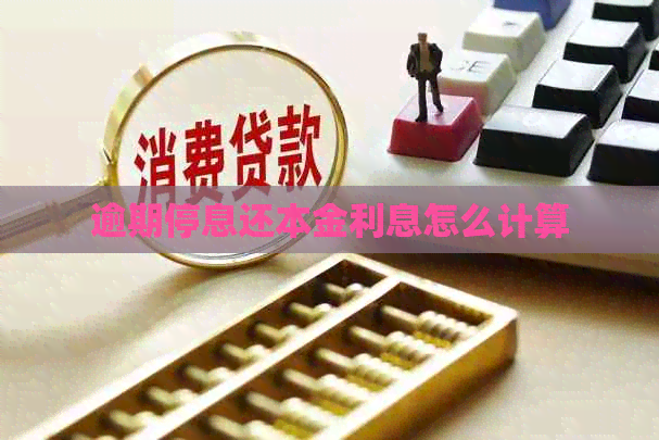 逾期停息还本金利息怎么计算