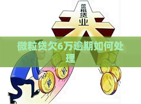 微粒贷欠6万逾期如何处理