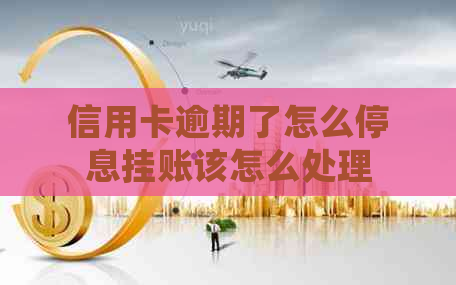信用卡逾期了怎么停息挂账该怎么处理