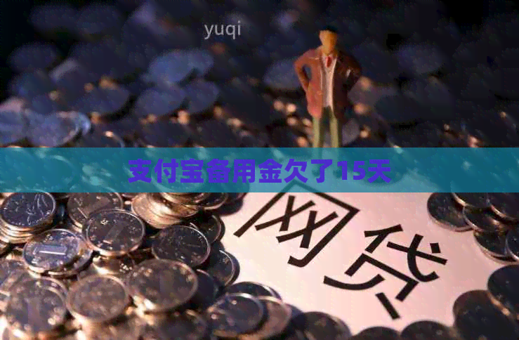 信用卡备用金欠了15天