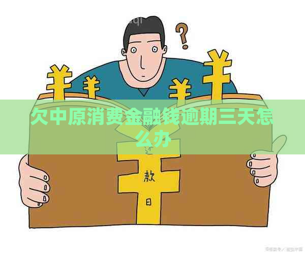 欠中原消费金融钱逾期三天怎么办