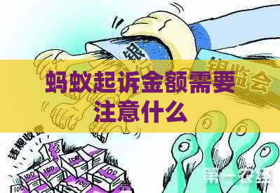 蚂蚁起诉金额需要注意什么
