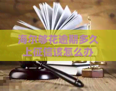 海尔够花逾期多久上该怎么办