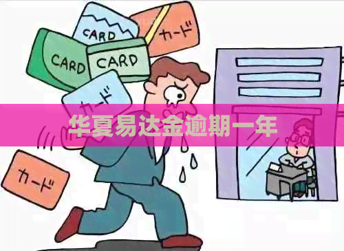 华夏易达金逾期一年