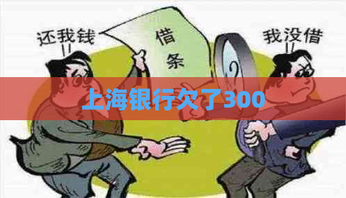 上海银行欠了300