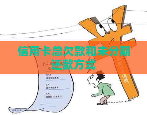 信用卡总欠款和未分期还款方式