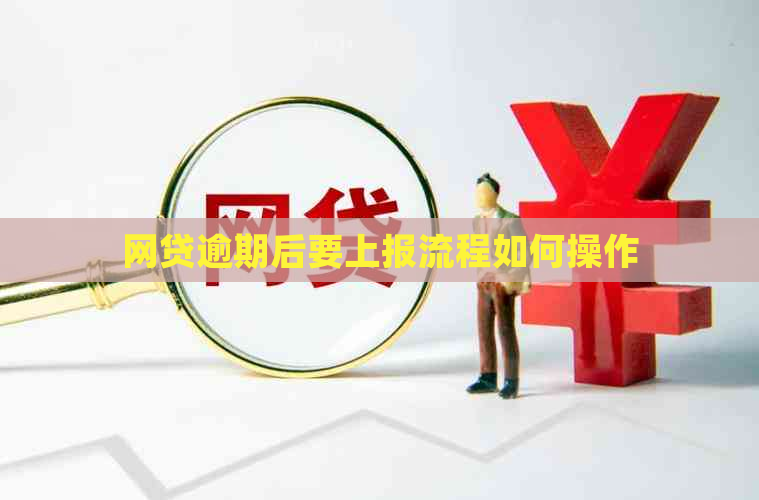 网贷逾期后要上报流程如何操作