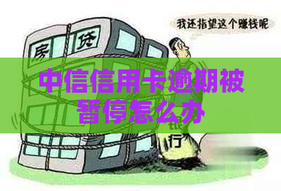 中信信用卡逾期被暂停怎么办
