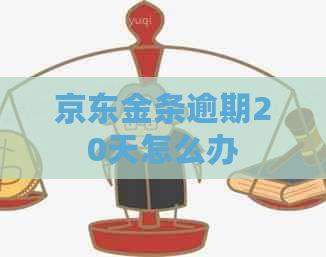 京东金条逾期20天怎么办