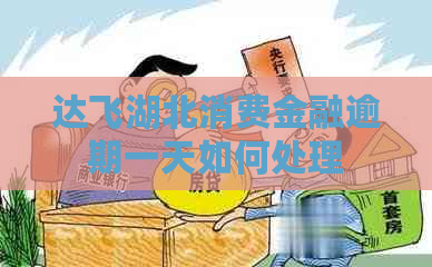 达飞湖北消费金融逾期一天如何处理