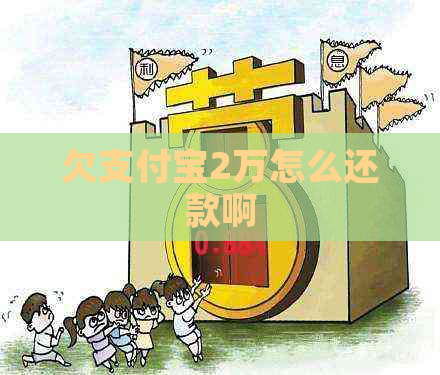 欠支付宝2万怎么还款啊