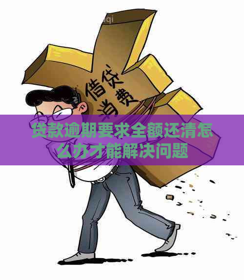 贷款逾期要求全额还清怎么办才能解决问题