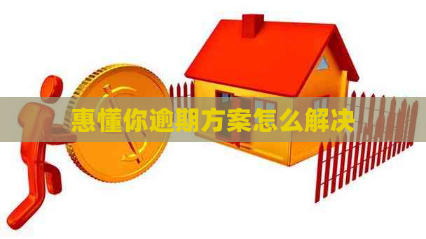 惠懂你逾期方案怎么解决