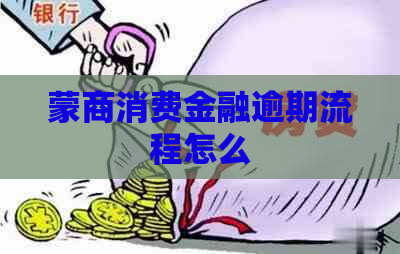 蒙商消费金融逾期流程怎么