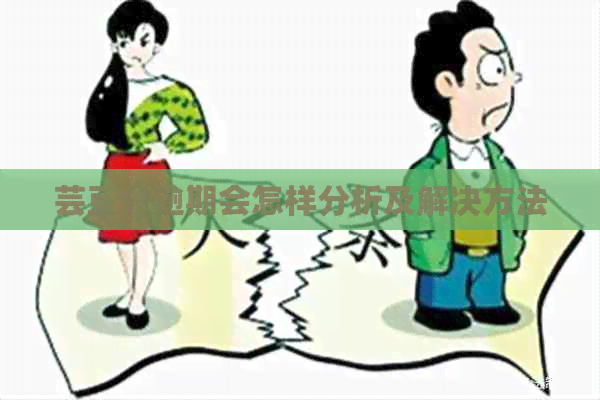 芸豆分逾期会怎样分析及解决方法