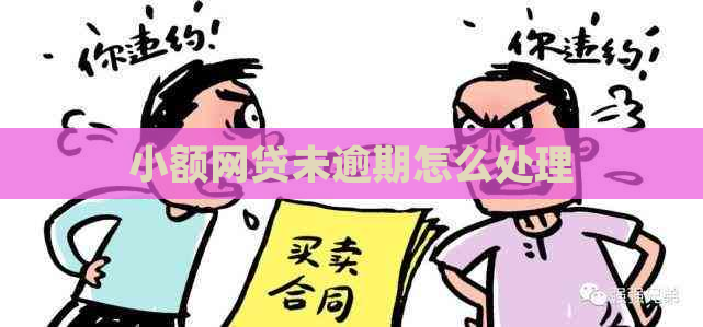 小额网贷未逾期怎么处理