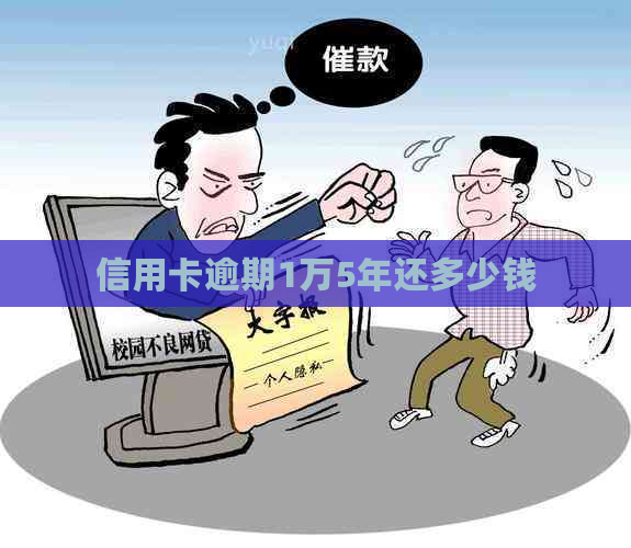 信用卡逾期1万5年还多少钱