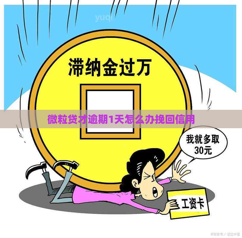 微粒贷才逾期1天怎么办挽回信用