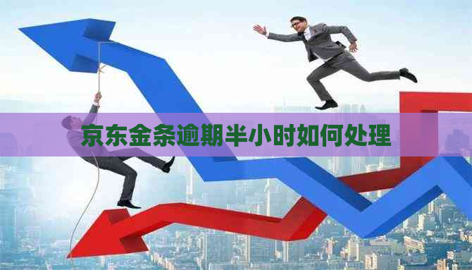 京东金条逾期半小时如何处理