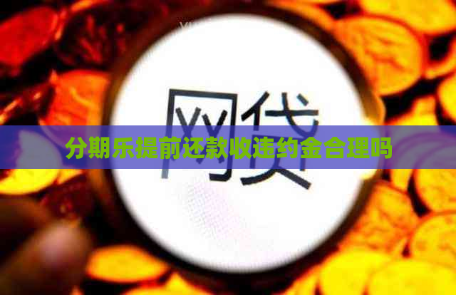 提前还款收违约金合理吗