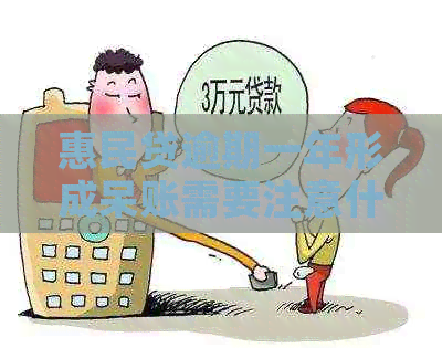 惠民贷逾期一年形成呆账需要注意什么