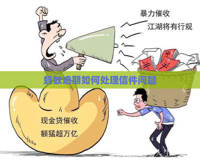 蚂蚁逾期如何处理信件问题