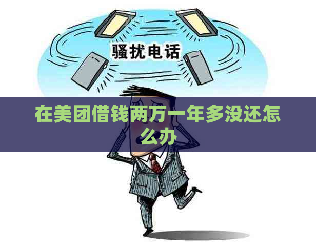 在美团借钱两万一年多没还怎么办