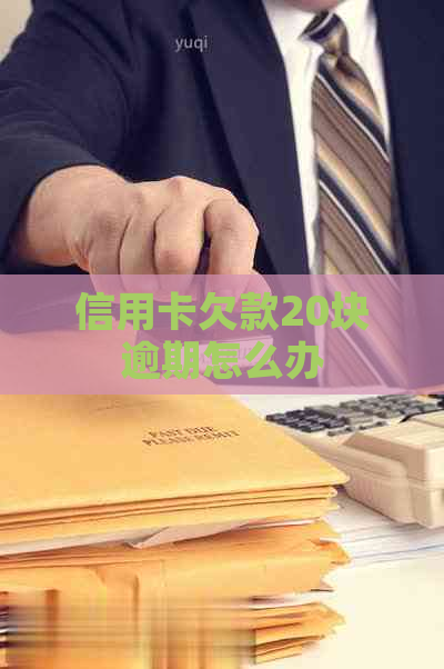 信用卡欠款20块逾期怎么办