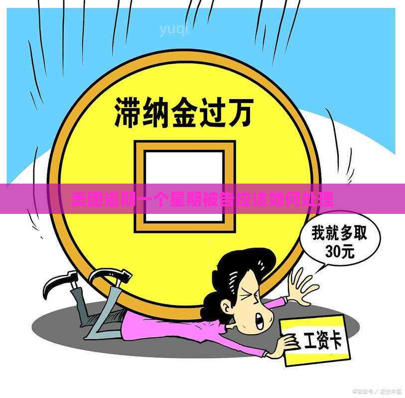 美团逾期一个星期被告应该如何处理