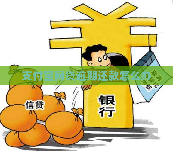 支付宝网贷逾期还款怎么办
