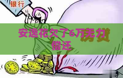 安逸花欠了6万无力偿还