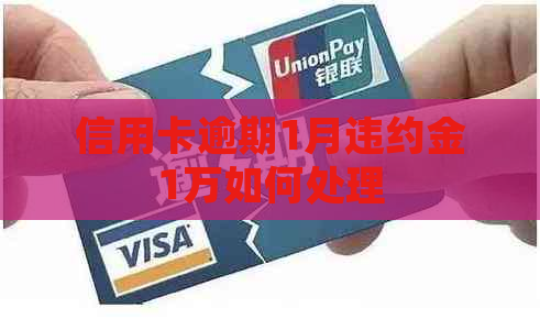 信用卡逾期1月违约金1万如何处理