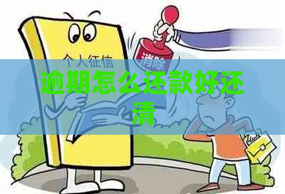 逾期怎么还款好还清