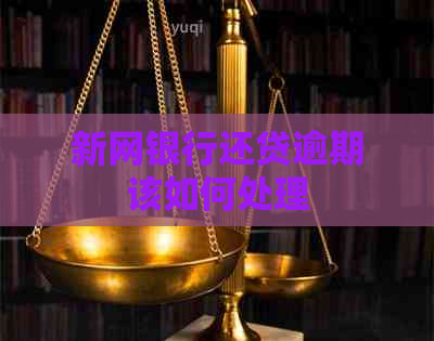 新网银行还贷逾期该如何处理