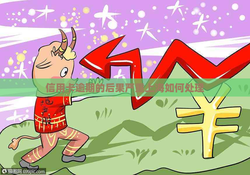 信用卡逾期的后果严重上海如何处理