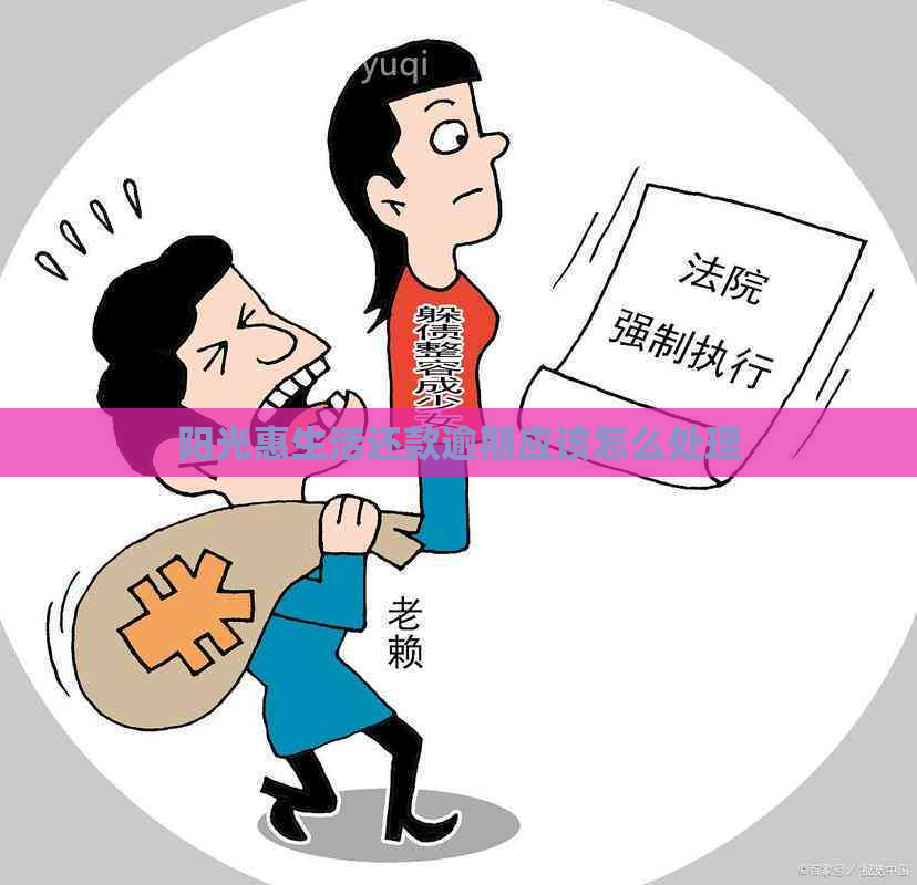 阳光惠生活还款逾期应该怎么处理