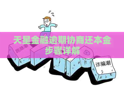 天星金融逾期协商还本金步骤详解