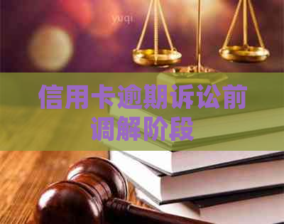 信用卡逾期诉讼前调解阶段