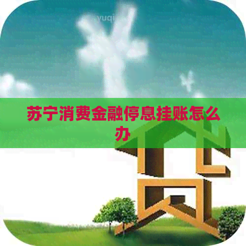 苏宁消费金融停息挂账怎么办