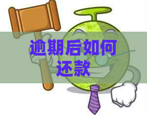 逾期后如何还款