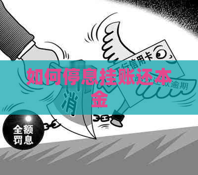 如何停息挂账还本金